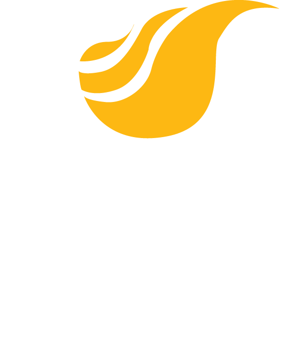 logotipo de Gas Natural del Norte